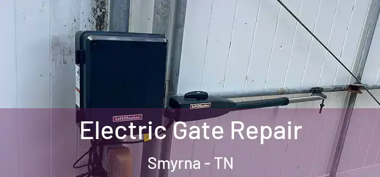 Electric Gate Repair Smyrna - TN
