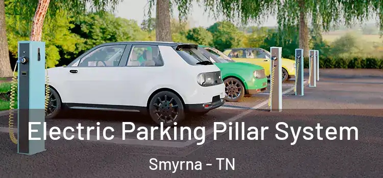  Electric Parking Pillar System Smyrna - TN