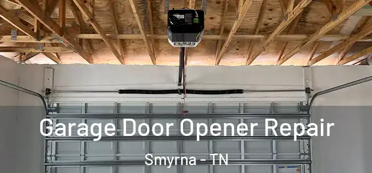  Garage Door Opener Repair Smyrna - TN