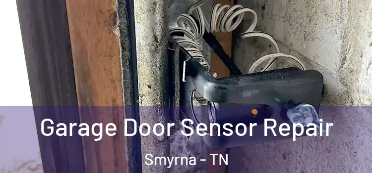 Garage Door Sensor Repair Smyrna - TN