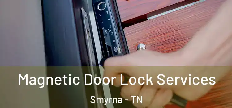  Magnetic Door Lock Services Smyrna - TN